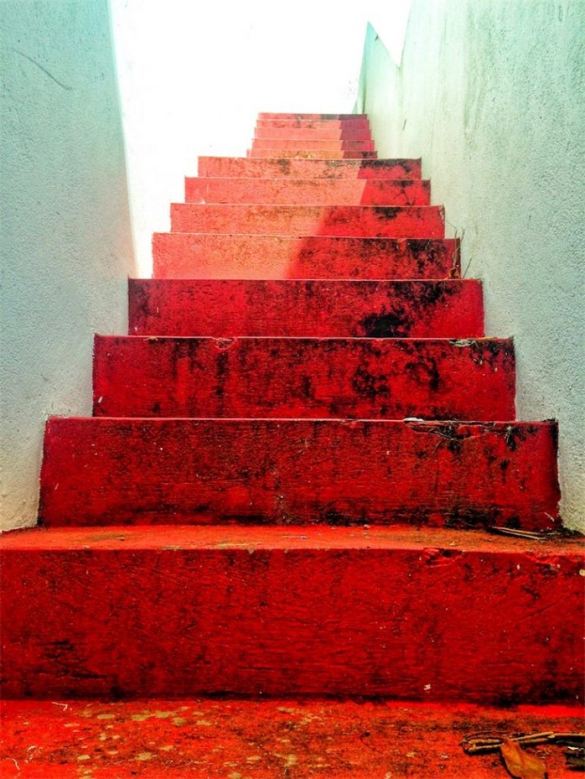 Lisabeth Armstrong. Honorable Mentions. Architecture