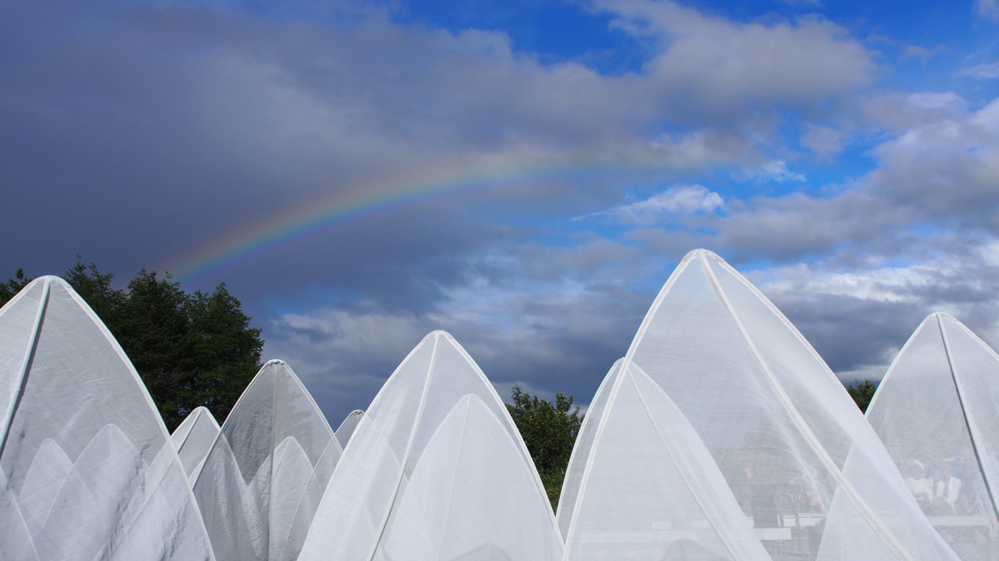 17th International Garden Festival. TiiLT by Sean Radford, Chris Wiebe from Winnipeg (Manitoba) Canada. Photograph © Martin Bond. Image courtesy of v2com.