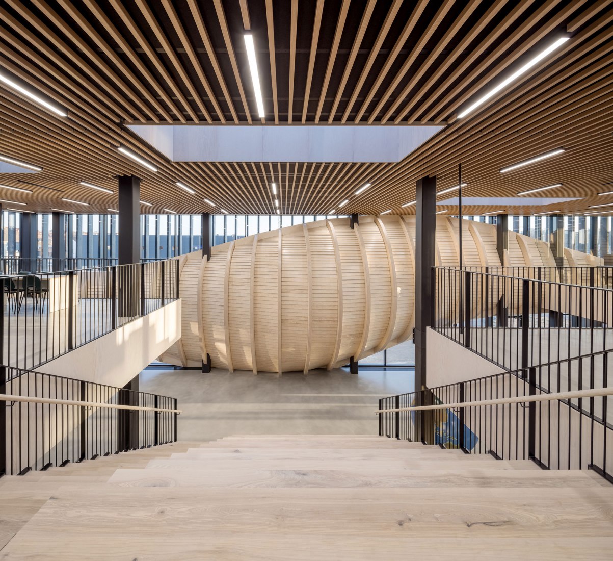 Klimatorium por 3XN. Fotografía por Adam Mork.