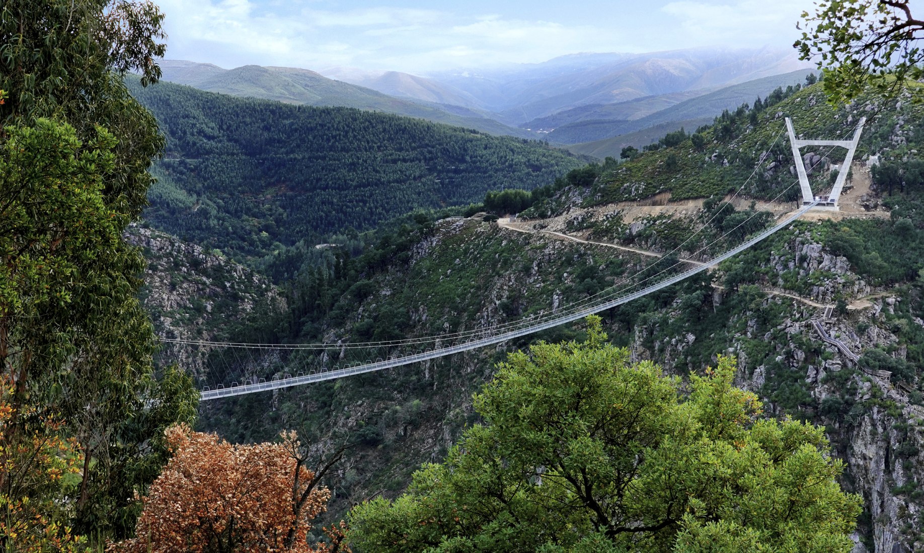 Pedestrian bridge 516 Arouca. Photograph courtesy of 516 Arouca
