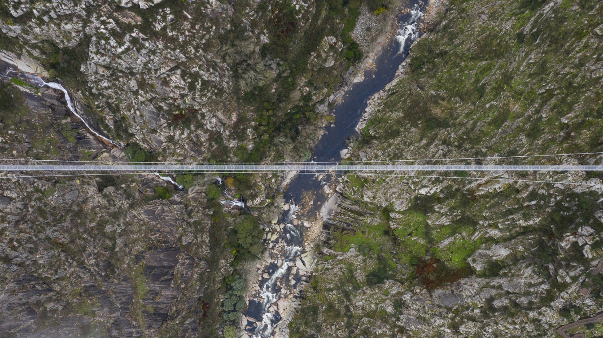 Pedestrian bridge 516 Arouca. Photograph courtesy of 516 Arouca
