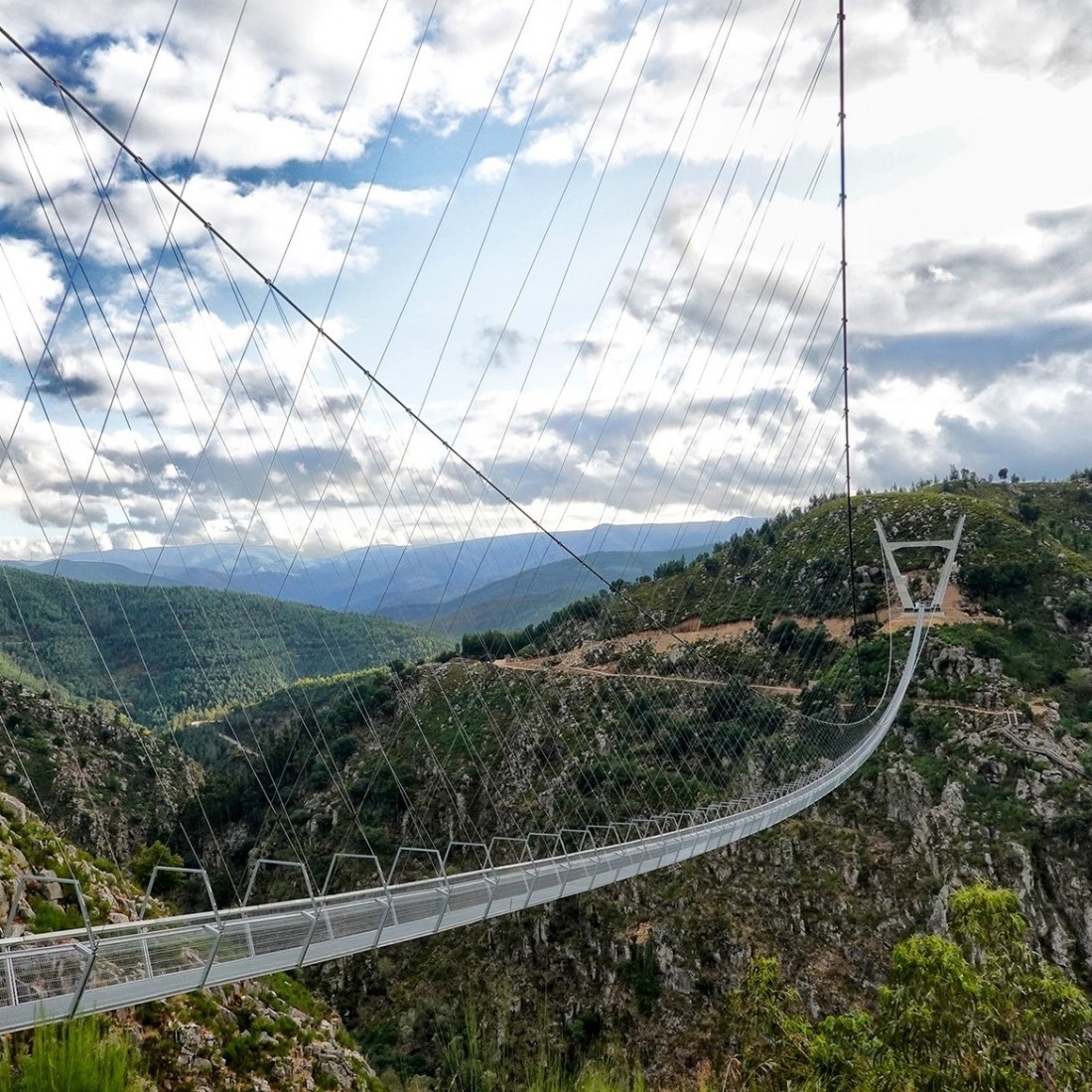 Pedestrian bridge 516 Arouca. Photograph courtesy of 516 Arouca