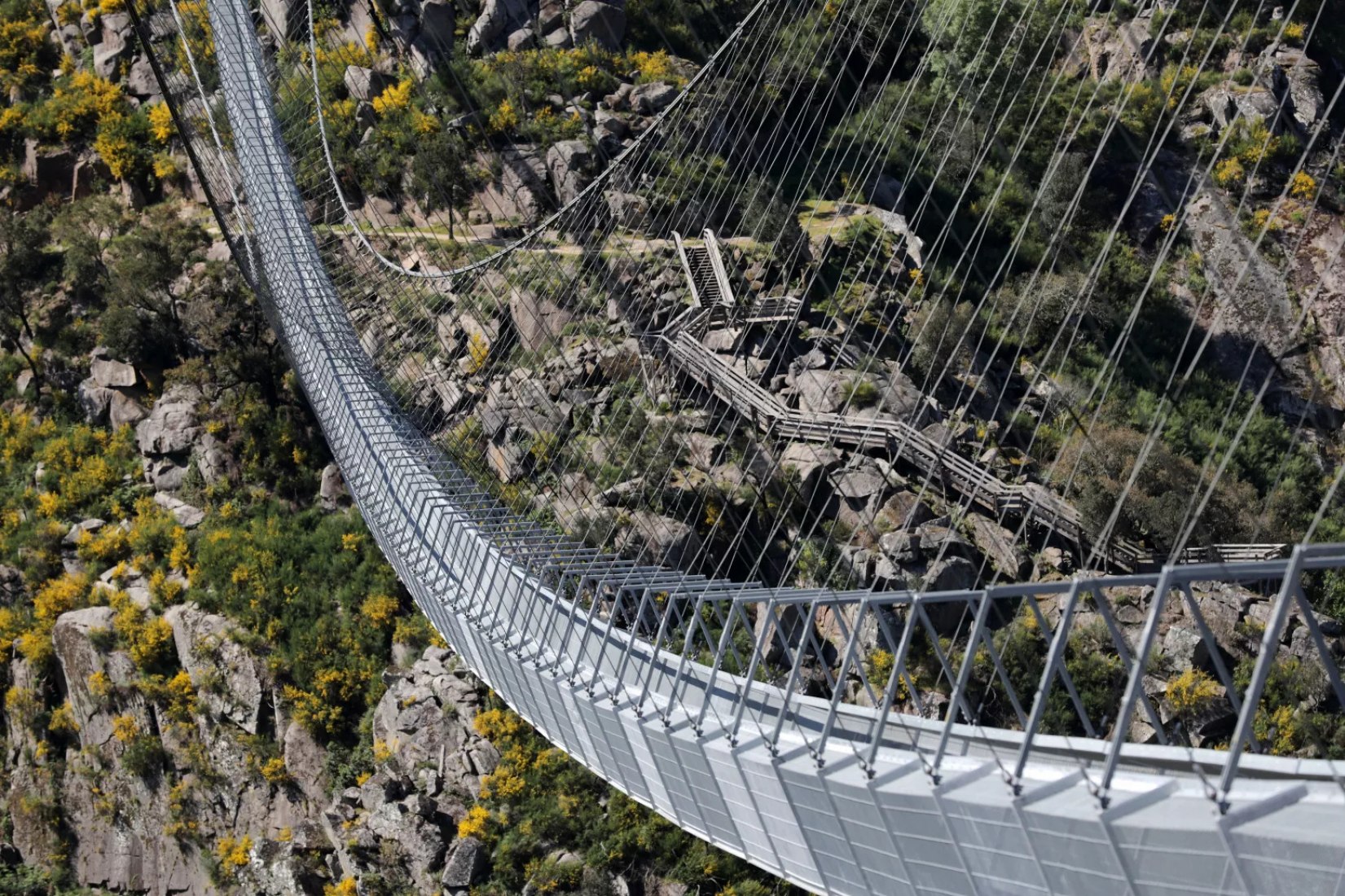 Pedestrian bridge 516 Arouca. Photograph courtesy of 516 Arouca