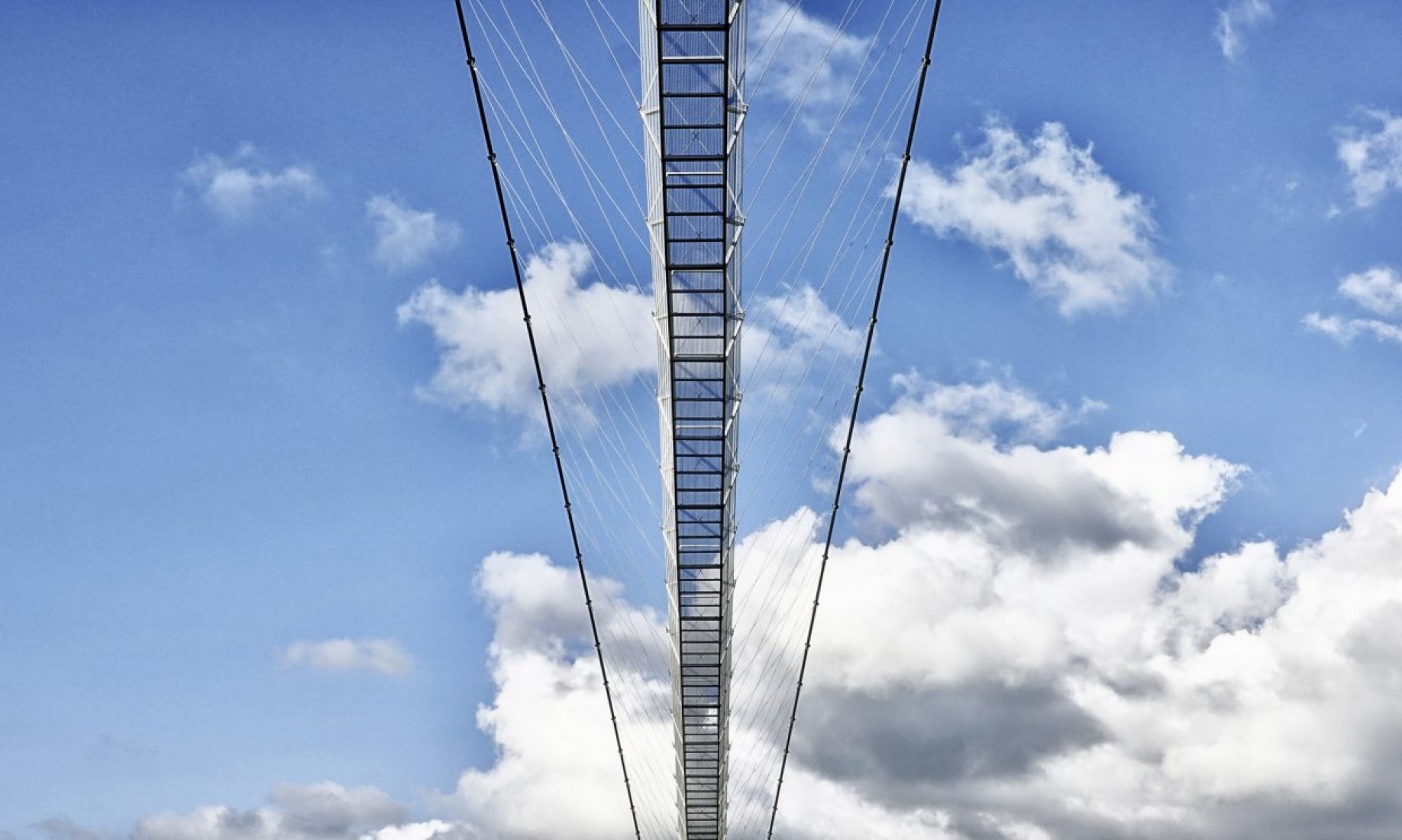 Pedestrian bridge 516 Arouca. Photograph courtesy of 516 Arouca