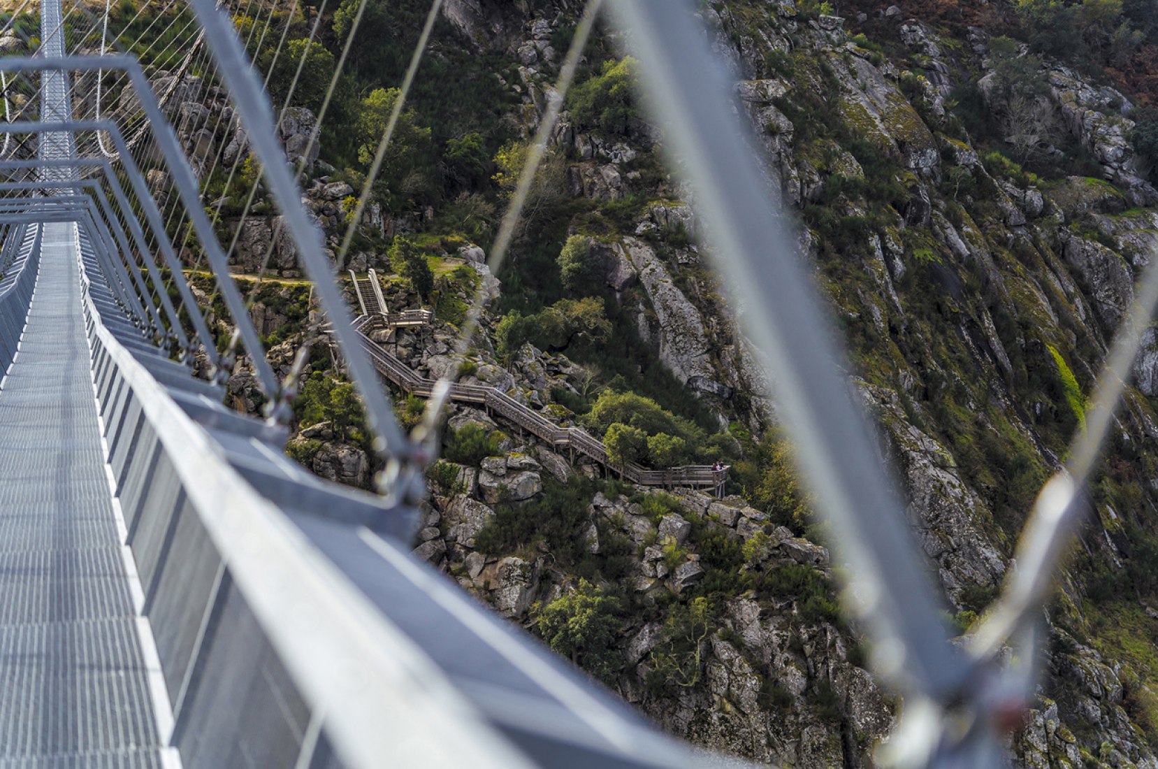 Pedestrian bridge 516 Arouca. Photograph courtesy of 516 Arouca