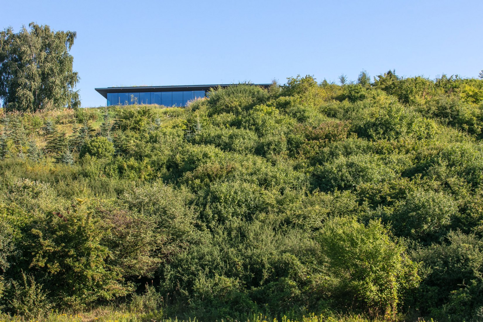 Casa pendiente 35:35 por 77 Studio Architektury. Fotografía por Piotr Krajewski.