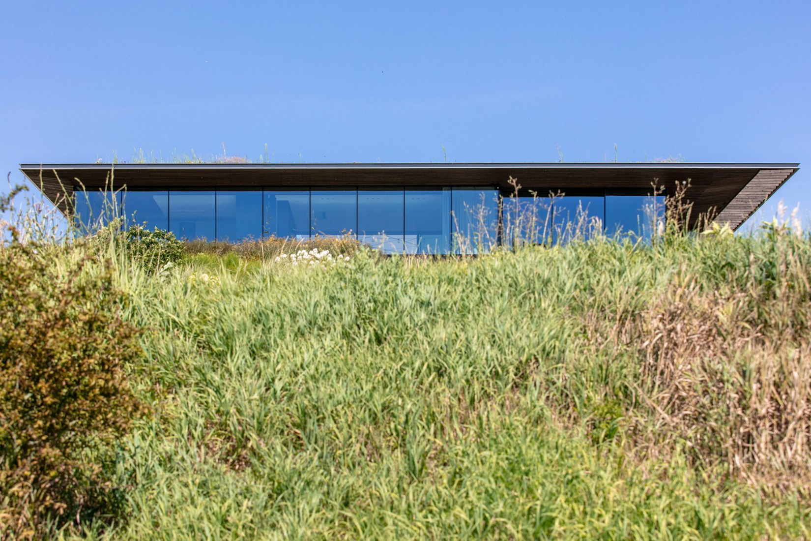 Casa pendiente 35:35 por 77 Studio Architektury. Fotografía por Piotr Krajewski.