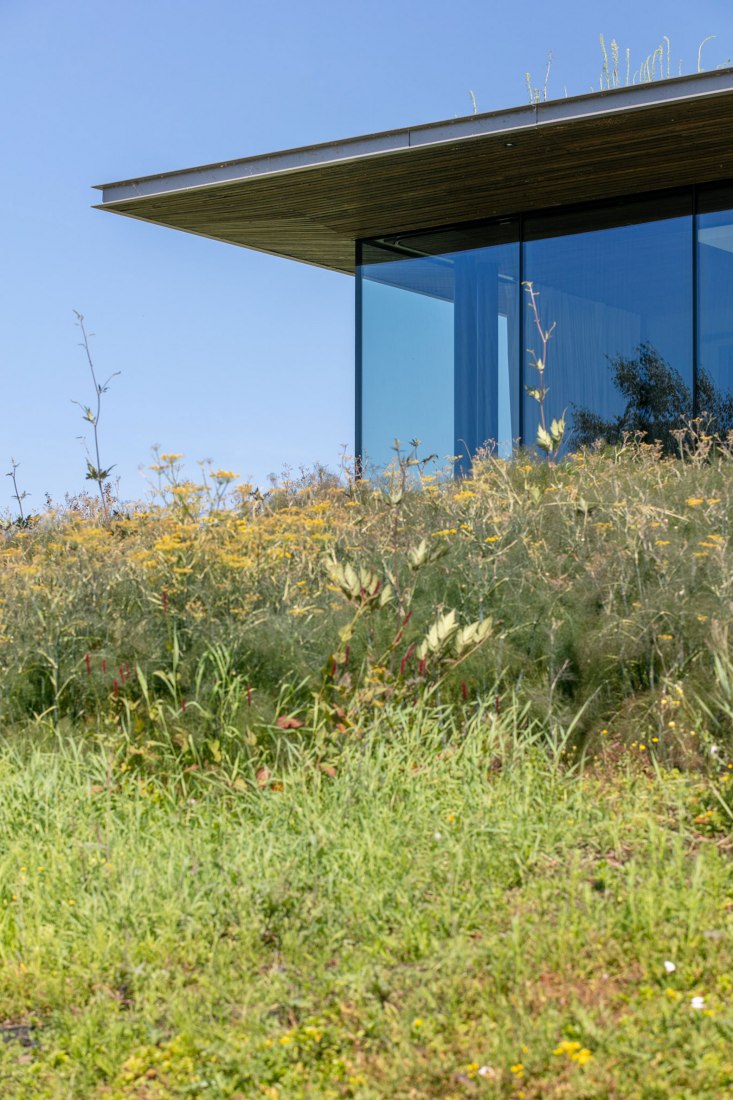 Casa pendiente 35:35 por 77 Studio Architektury. Fotografía por Piotr Krajewski.