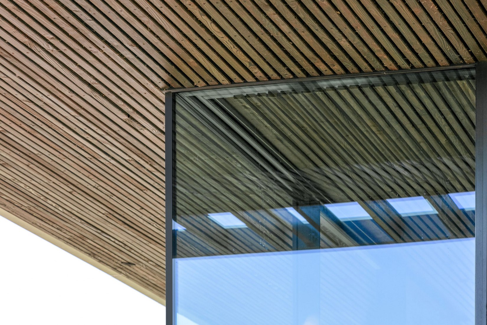 Casa pendiente 35:35 por 77 Studio Architektury. Fotografía por Piotr Krajewski.