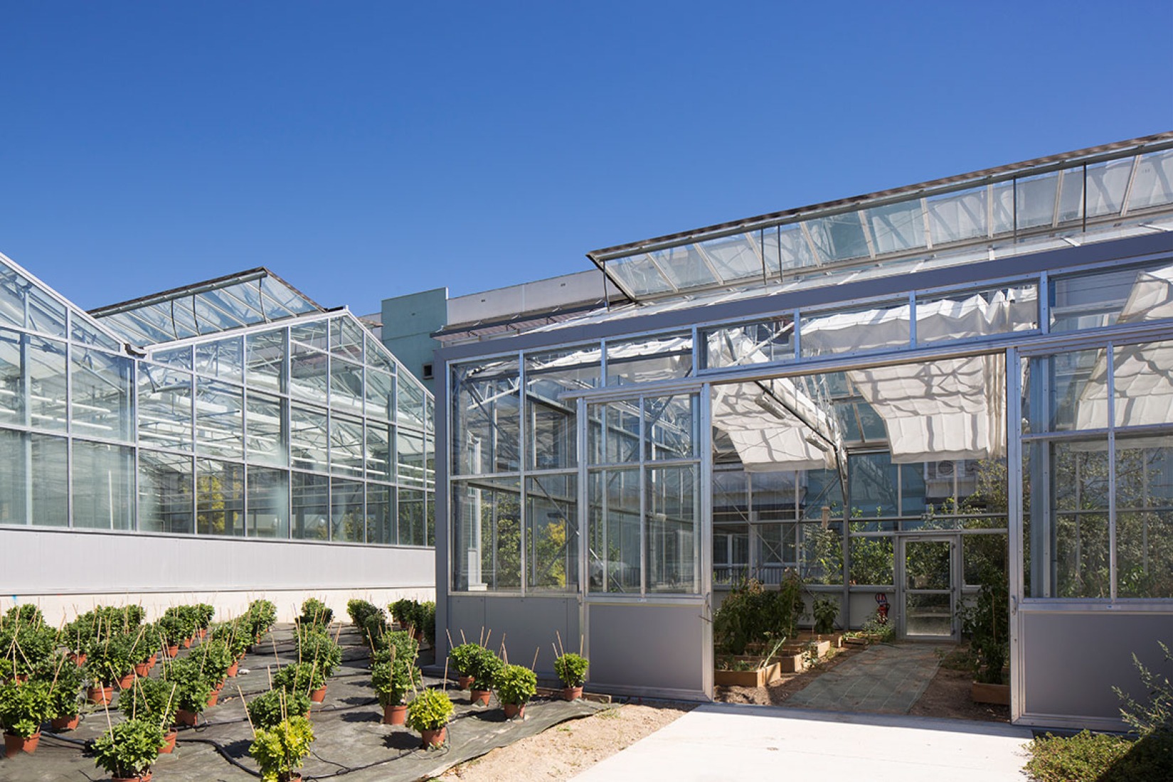 Invernaderos de la Ampliación del Instituto Agrícola Honoré de Balzac, por NBJ Architectes. Fotografía © photoarchitecture.com Paul Kozlowski. Cortesía de v2com.