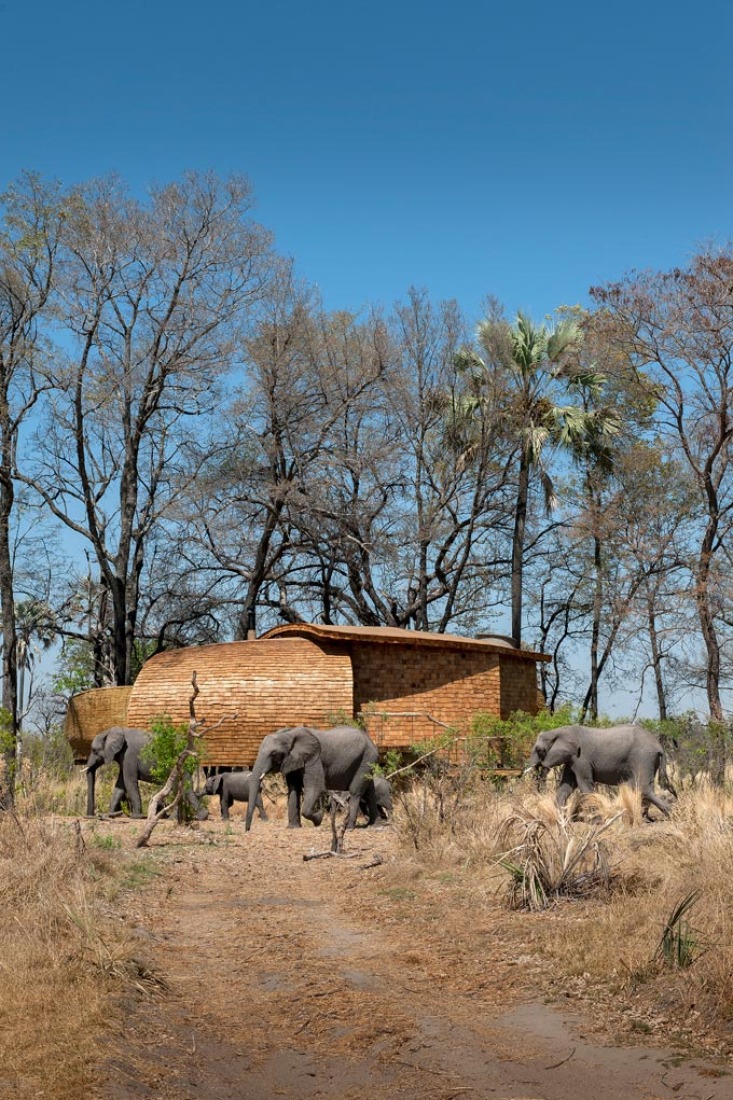 Exterior view of the lodge of the Sandibe Okavango Safari in Botswana, by Nicholas Plewman Architects and Michaelis Boyd Architects. Photography © Dook. 