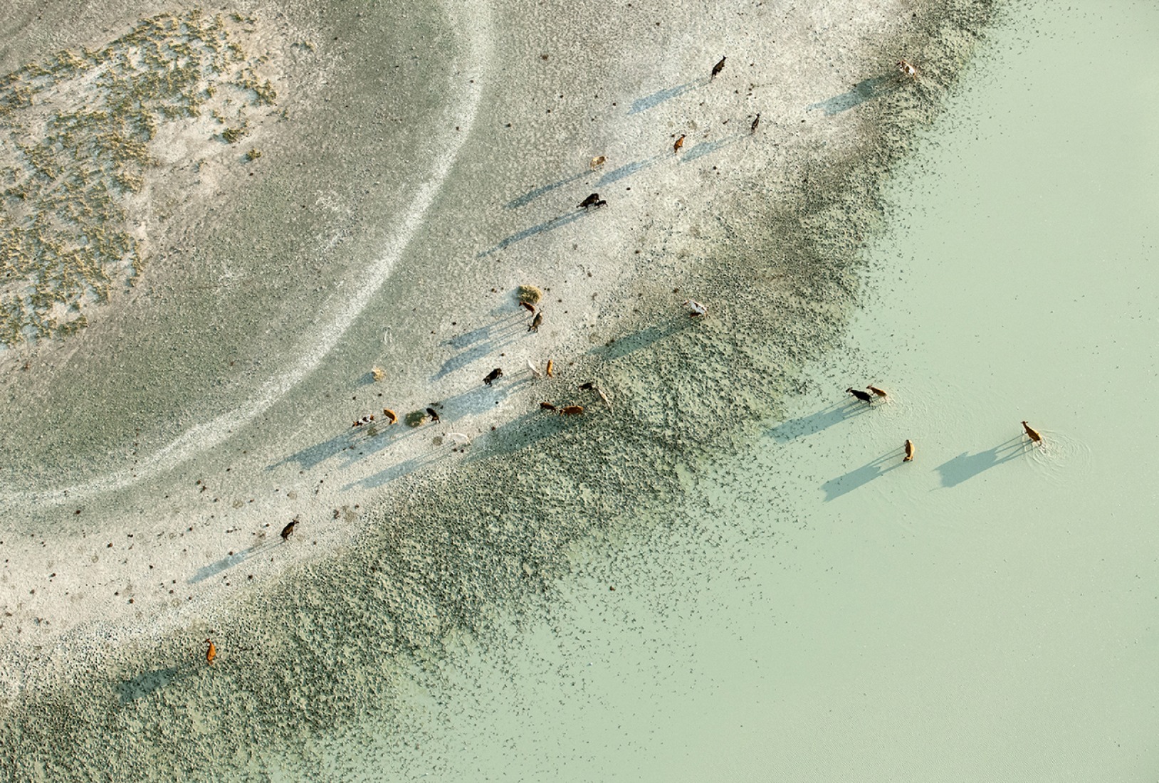 Earth Water Fade, 2009 pigment print. Botswana by Zack Seckler. Robin Rice Gallery.