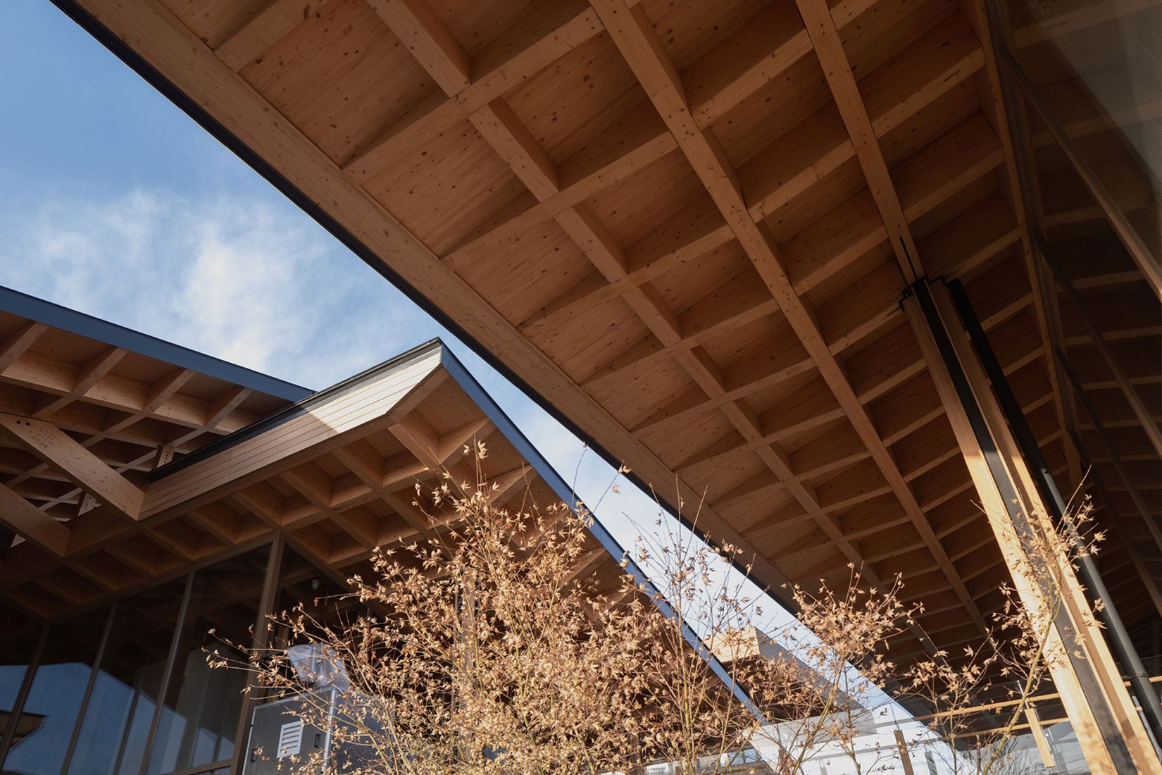 «MERCADO PULO» por a9a rchitects. Fotografía por Arch-Exist Photography.