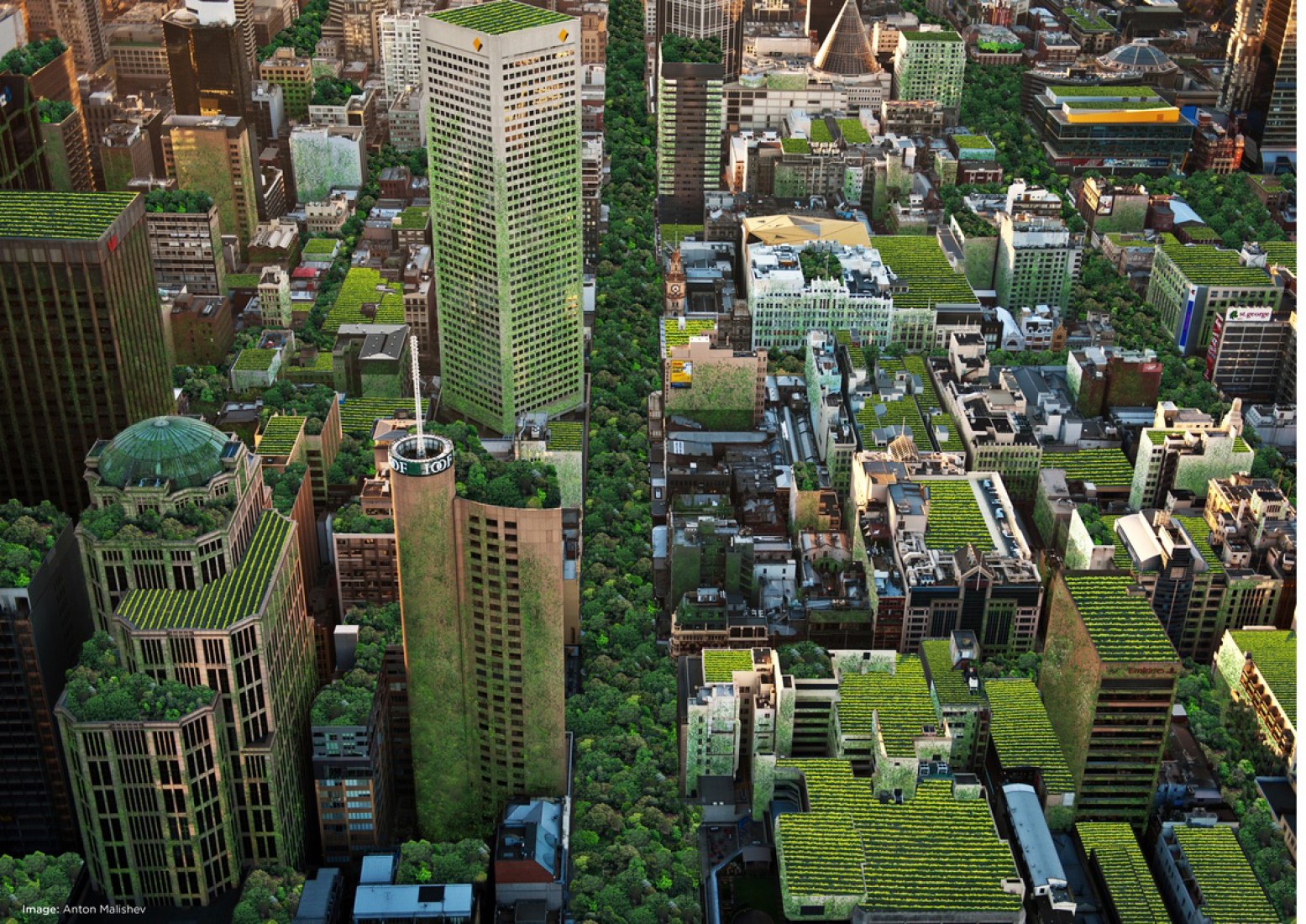 Estrategia de Bosque Urbano de la Ciudad de Melbourne. Photograph © City of Melbourne.