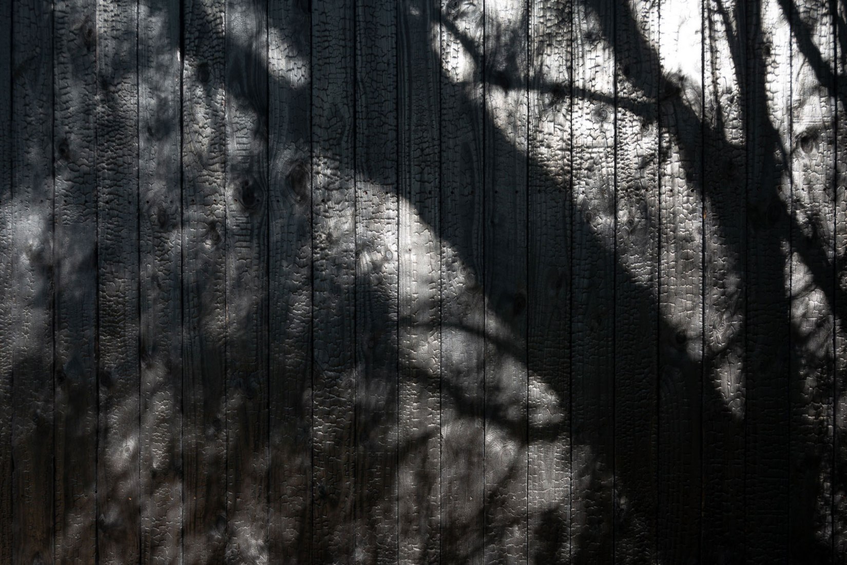 Archipelago Pavilion Author Houses by Alarcia Ferrer Arquitectos. Photograph by Javier Agustín Rojas.