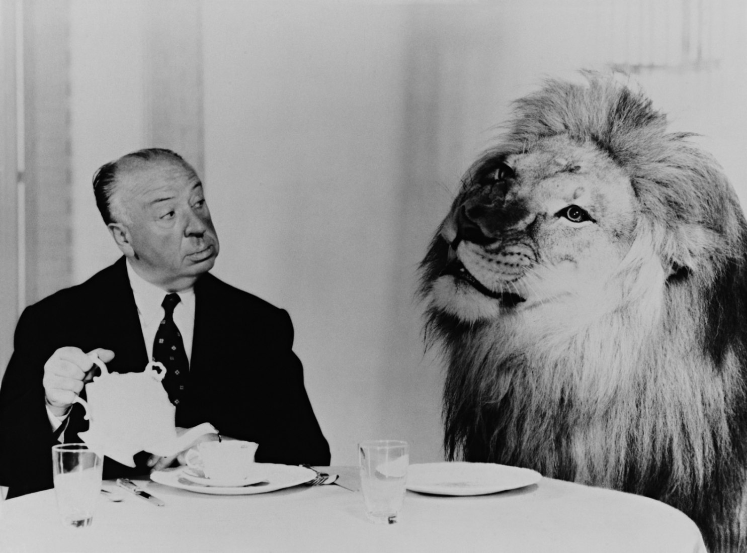 Sample of the Exhibition 'Hitchkock, beyond Thriller' at Espacio Fundación Telefónica. Alfred Hitchcock filming 'the birds' (1963). Photography © UNIVERSAL PICTURES Album.