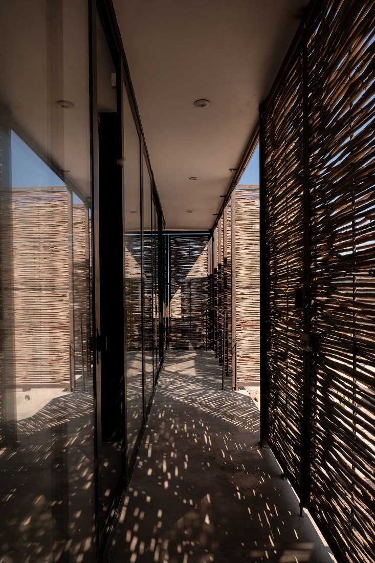 Casa Martha by Alfredo Navarro Tiznado. Photograph by Oscar Hernández Rodríguez.