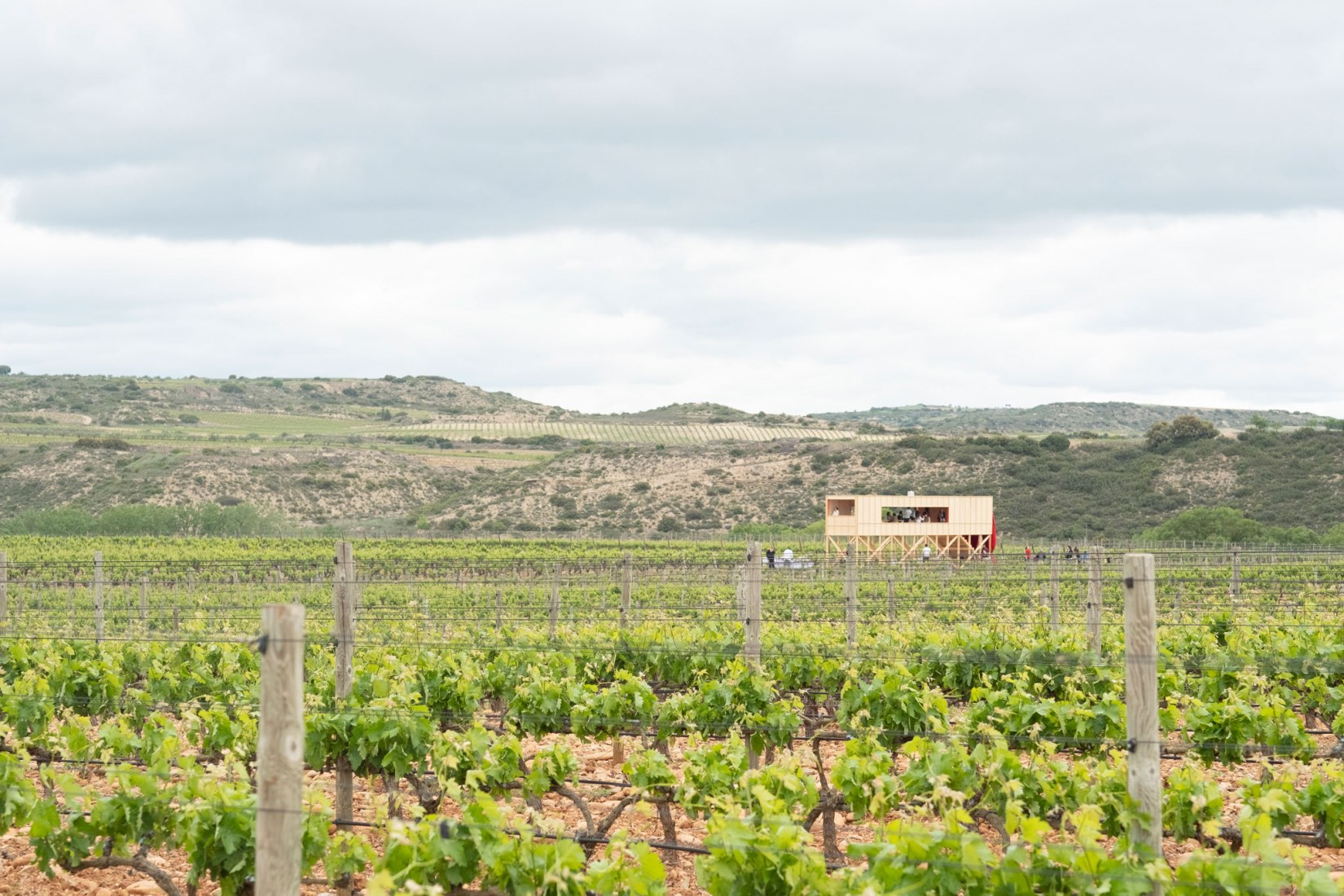 Una mesa elevada en el paisaje por J-AF Architecture + Gonzalez Serrano Studio. Fotografía por BODEGAS LAN
