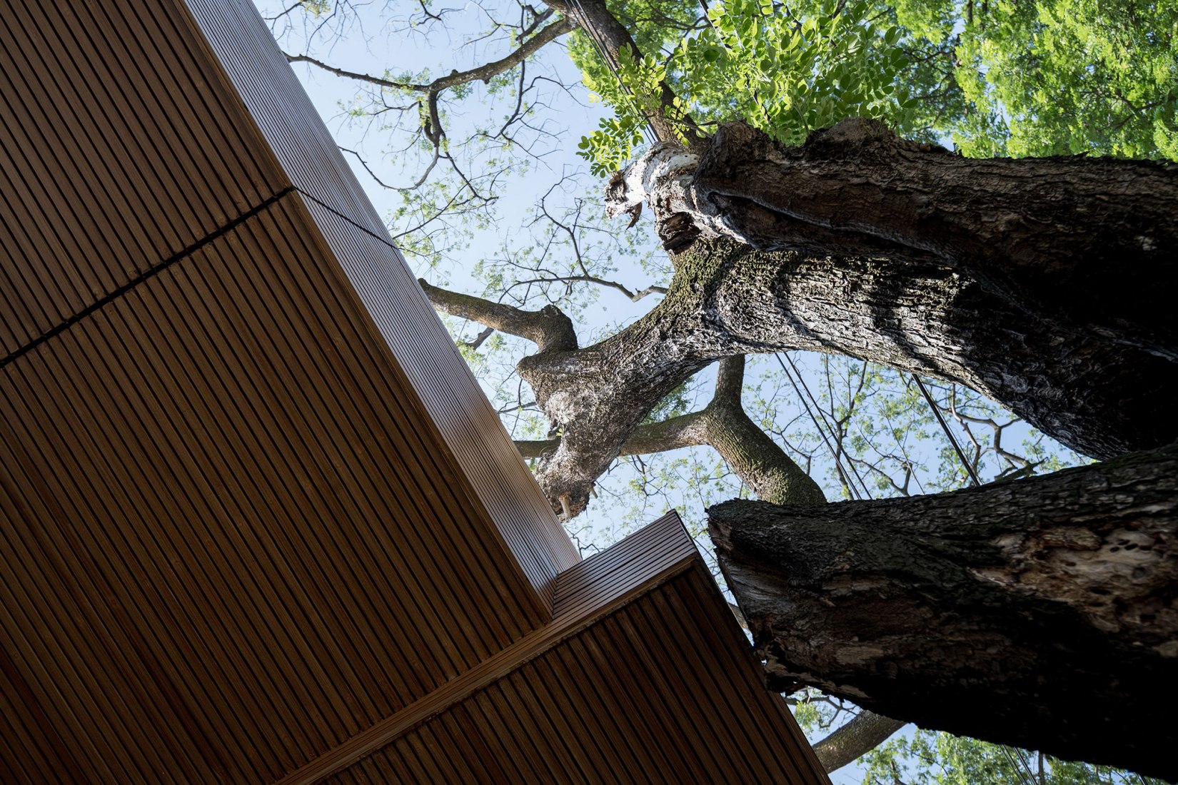 Phutthamonthon-Y House by Archimontage Design Fields Sophisticated. Photograph by Beer Singnoi