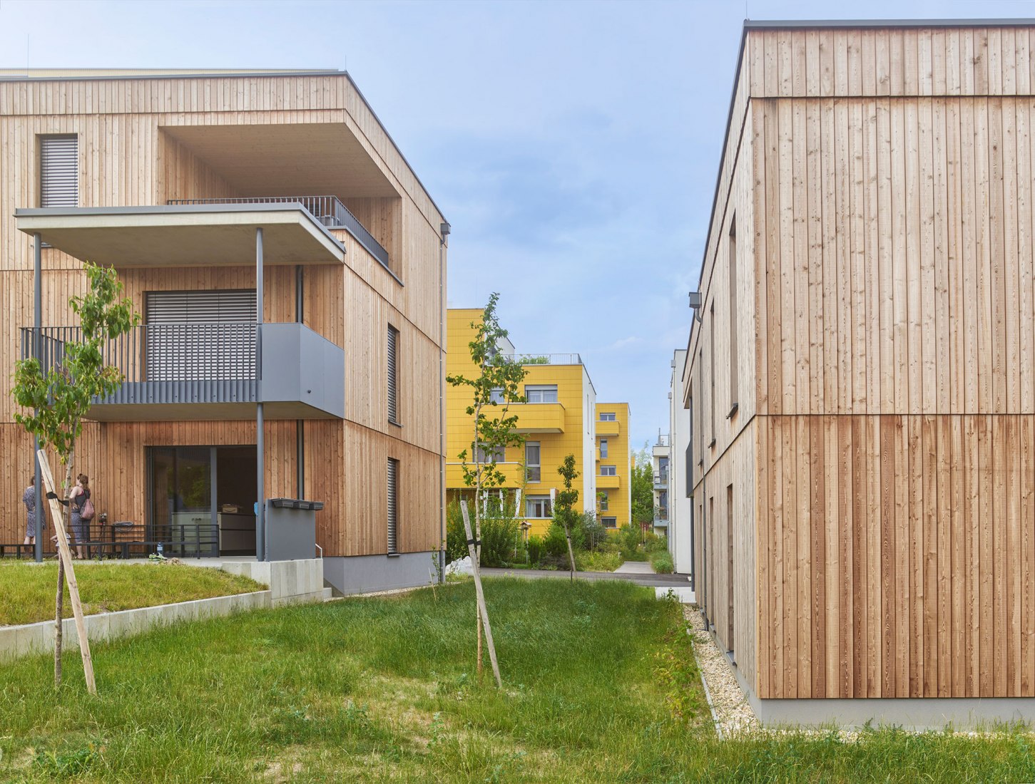 The Sunflower Houses by Arenas Basabe Palacios Architects. Photograph by Kurt Hoerbst.