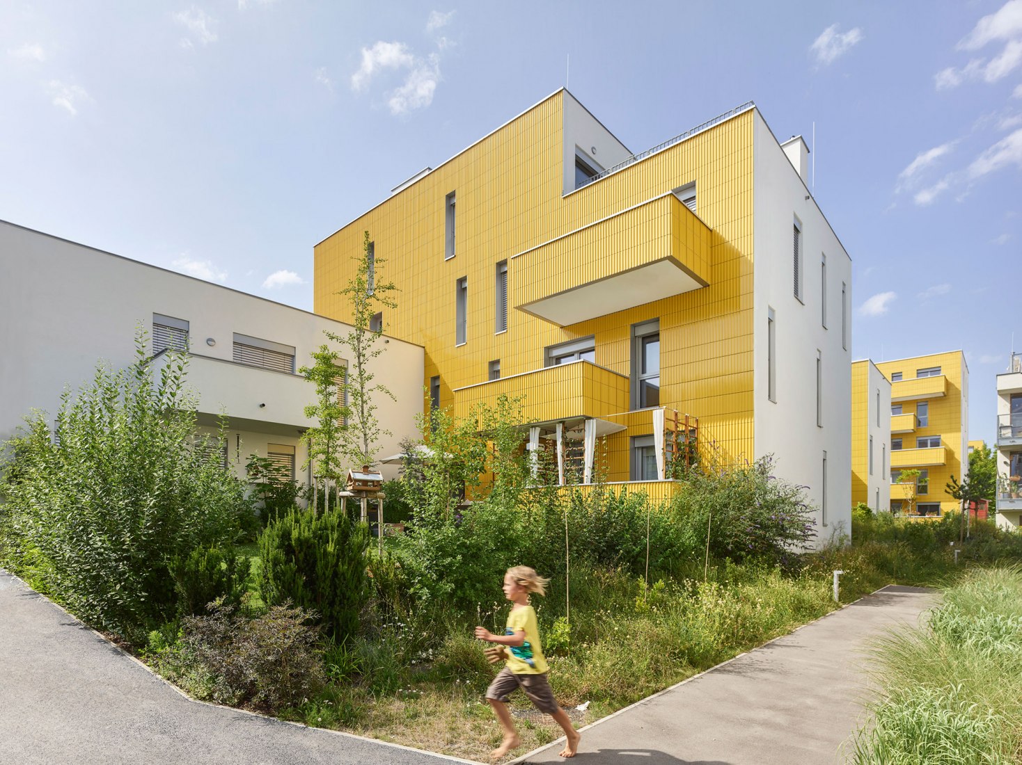 The Sunflower Houses by Arenas Basabe Palacios Architects. Photograph by Kurt Hoerbst.