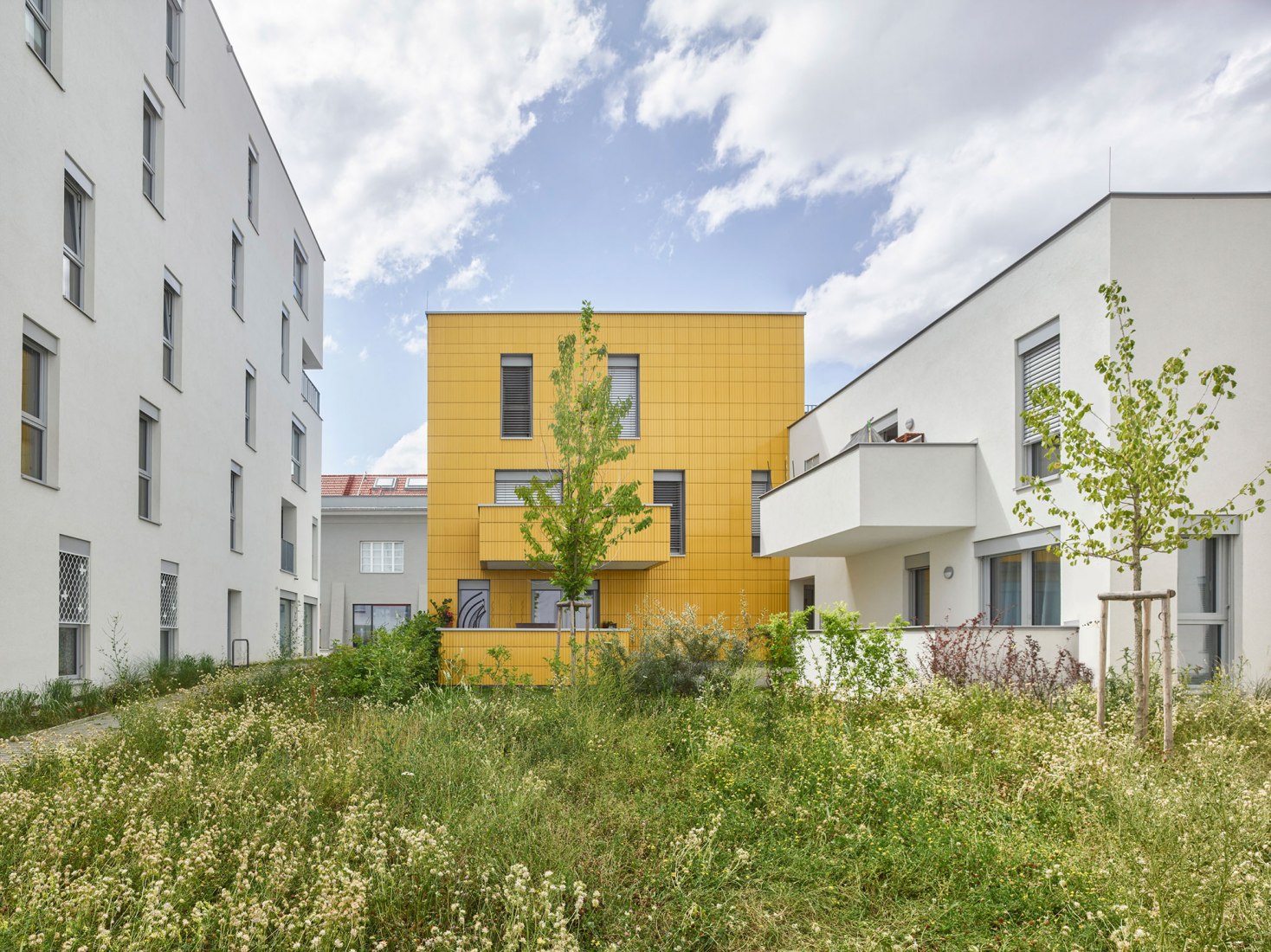 The Sunflower Houses by Arenas Basabe Palacios Architects. Photograph by Kurt Hoerbst.