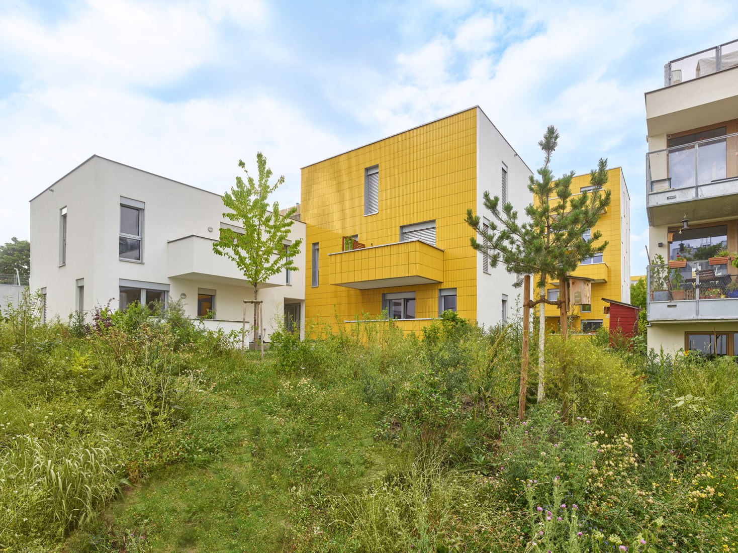The Sunflower Houses by Arenas Basabe Palacios Architects. Photograph by Kurt Hoerbst.