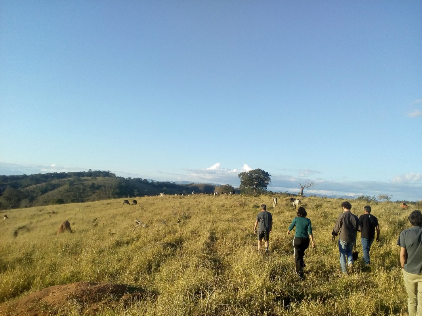 Casa en Cunha por Arquipélago Arquitetos. Fotografía por Federico Cairoli