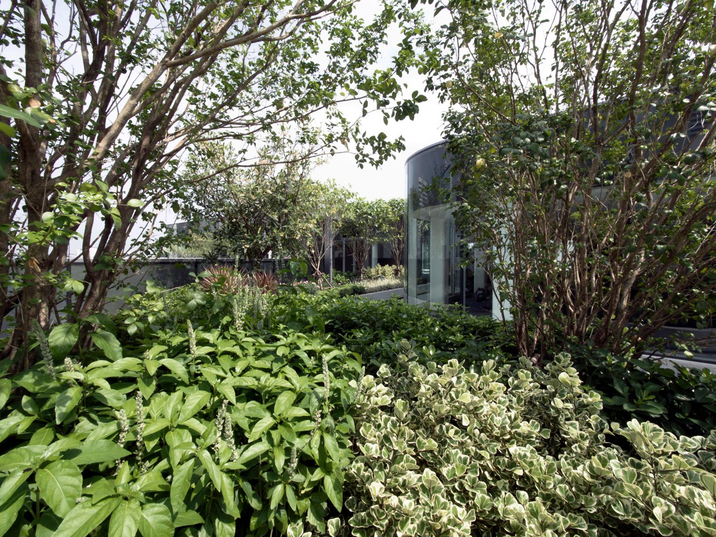 Toyota Thailand Marketing Complex by ASWA. Photograph by Phuttipan Aswakool.