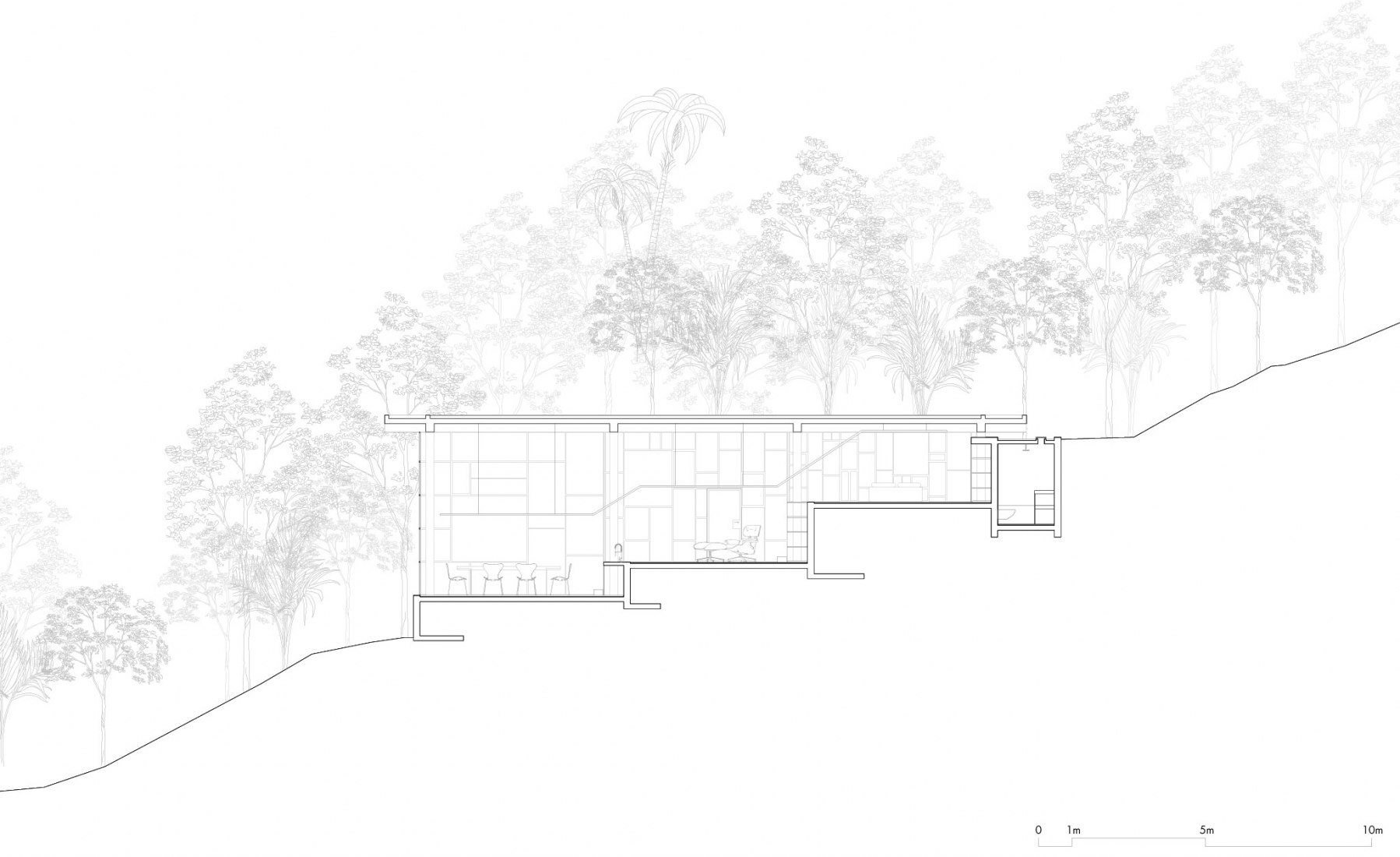 Section. Library house in the vinhedo forest by Atelier Branco.