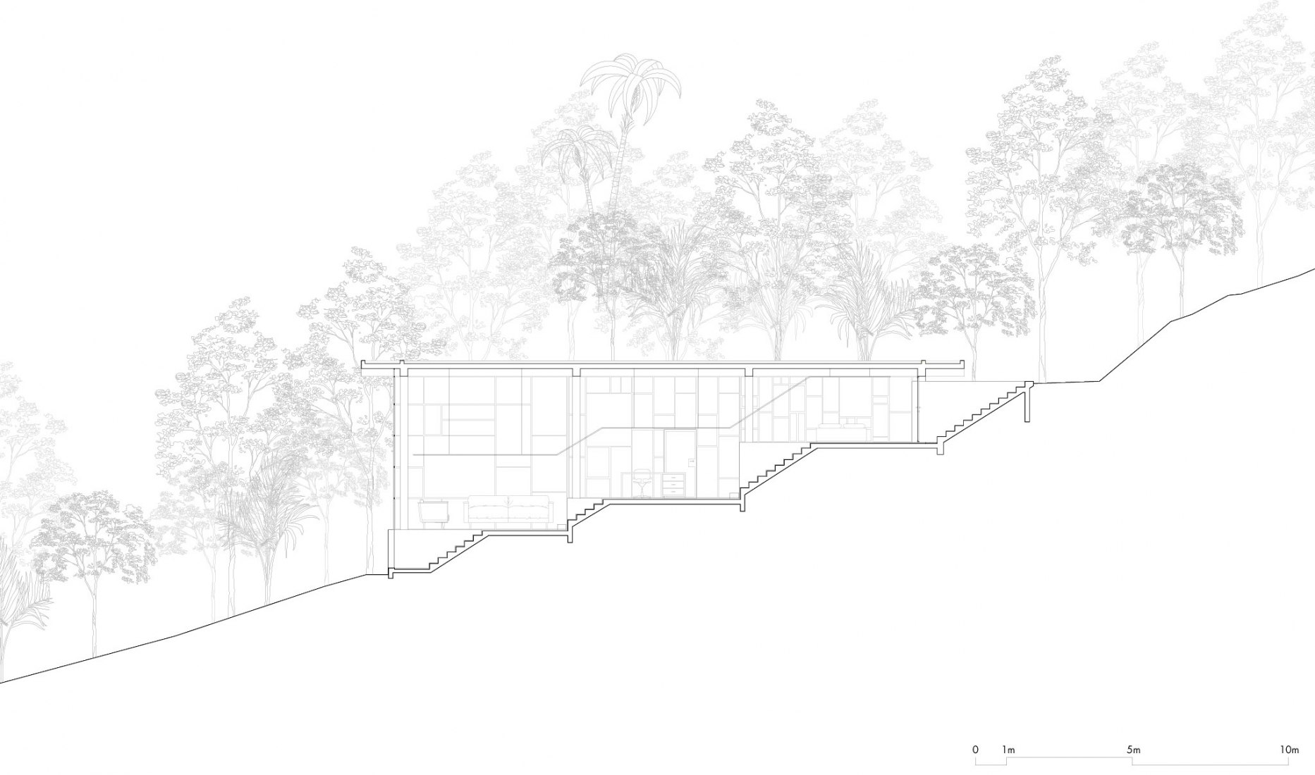 Section. Library house in the vinhedo forest by Atelier Branco.
