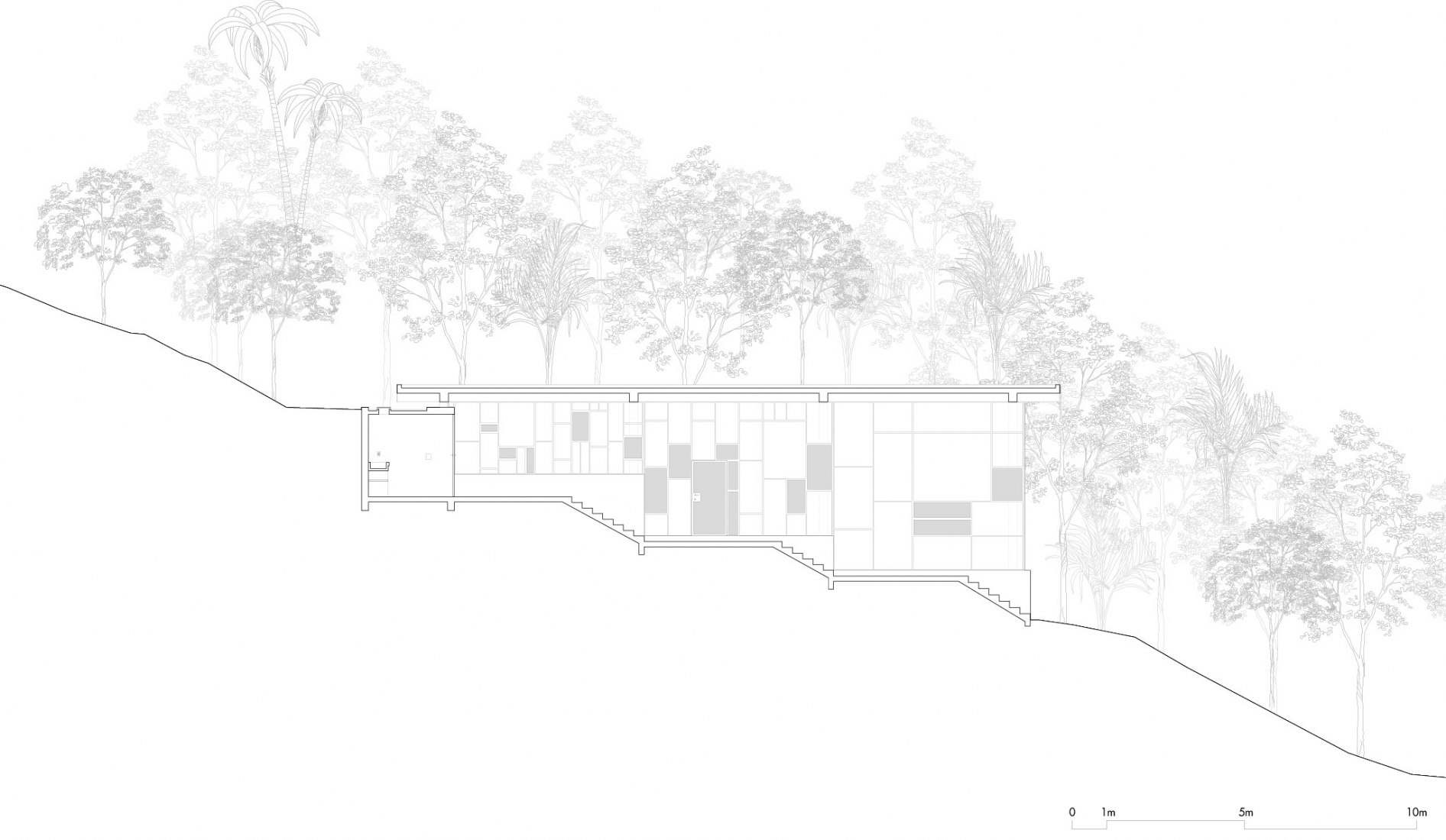 Section. Library house in the vinhedo forest by Atelier Branco.