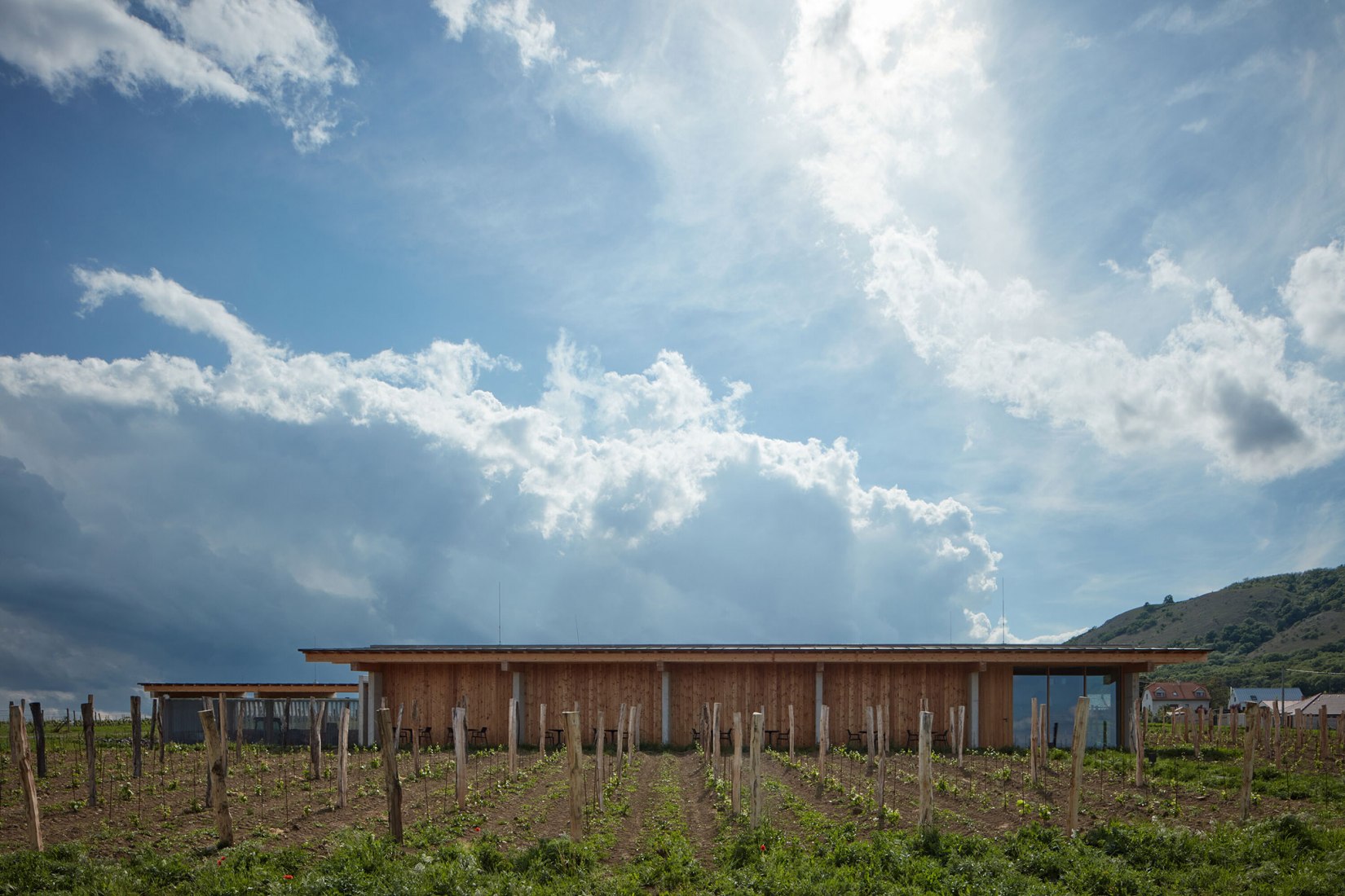 Winery Friends of Pavlova by Atelier Štěpán. Photograph by BoysPlayNice