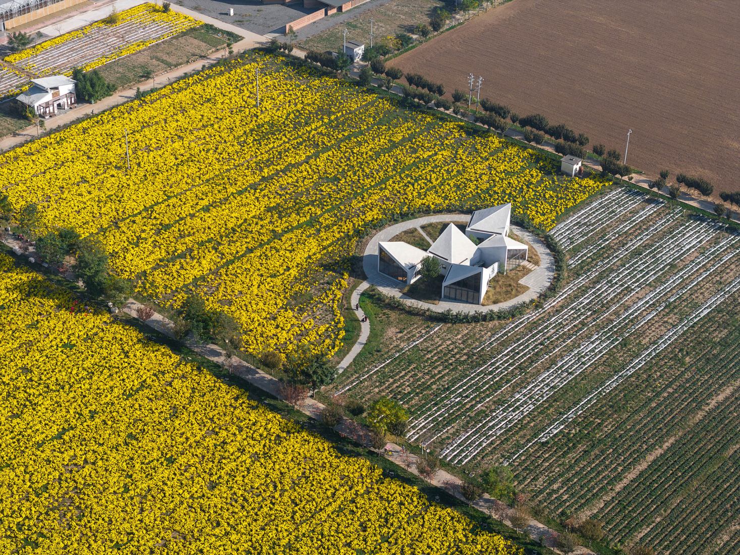 The Library in Ice-Chrysanthemum Field. Photograph by Zhang Chao.