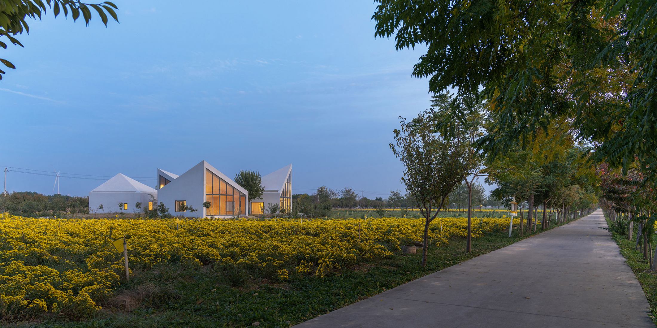 The Library in Ice-Chrysanthemum Field. Photograph by Zhang Chao.