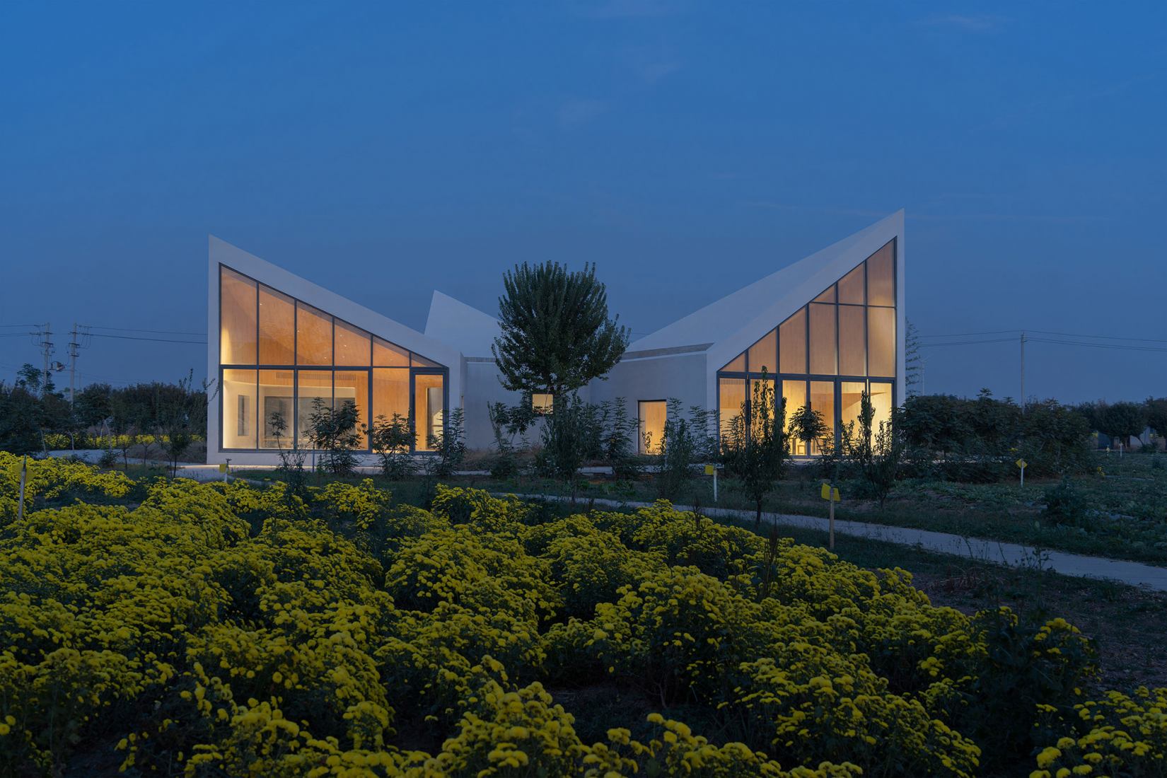 The Library in Ice-Chrysanthemum Field. Photograph by Zhang Chao.