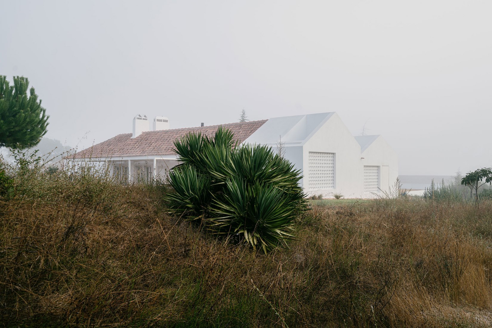 CASA MÃE por Atelier Data. Fotografía por Richard John Seymour.