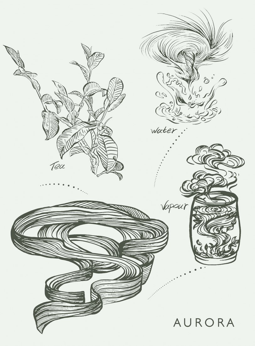 Croquis. Jin Tea por Aurora Design.