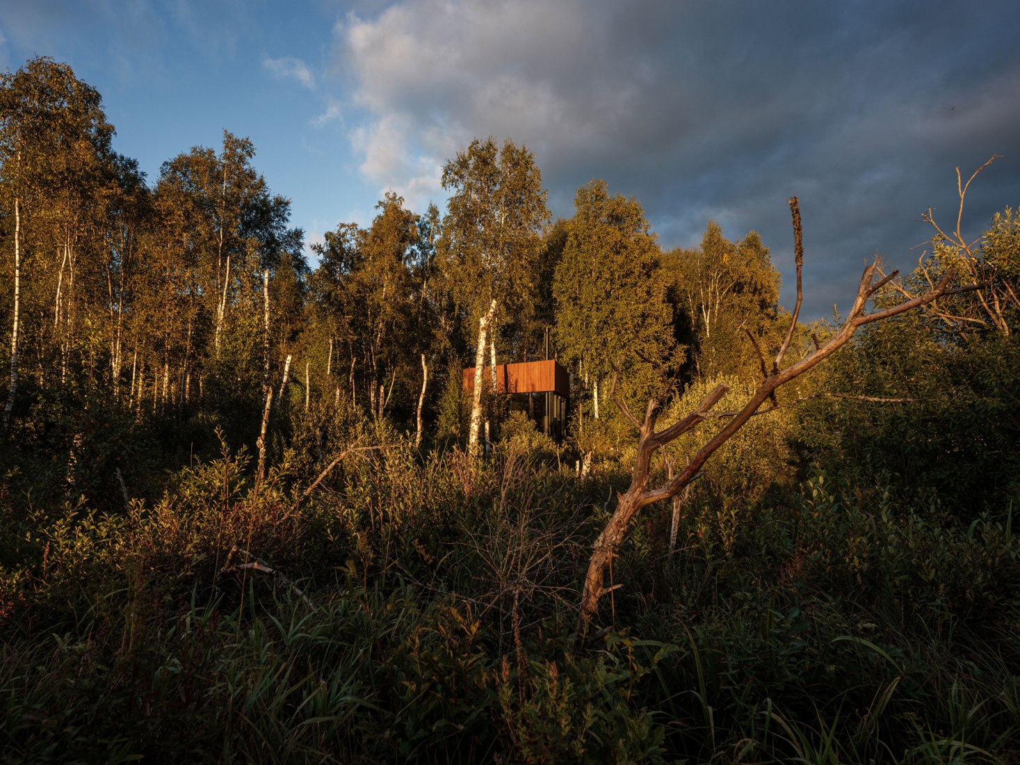 Maidla Nature Resort por b210 architects. Fotografía por Tõnu Tunnel
