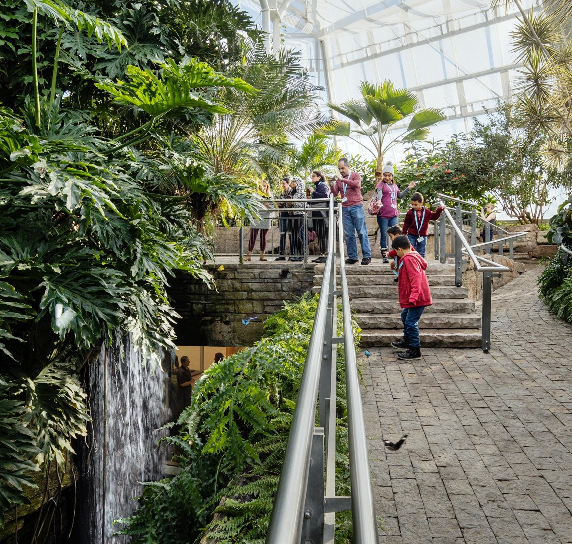Niagara Parks Commission’s Butterfly Conservatory by Baird Sampson