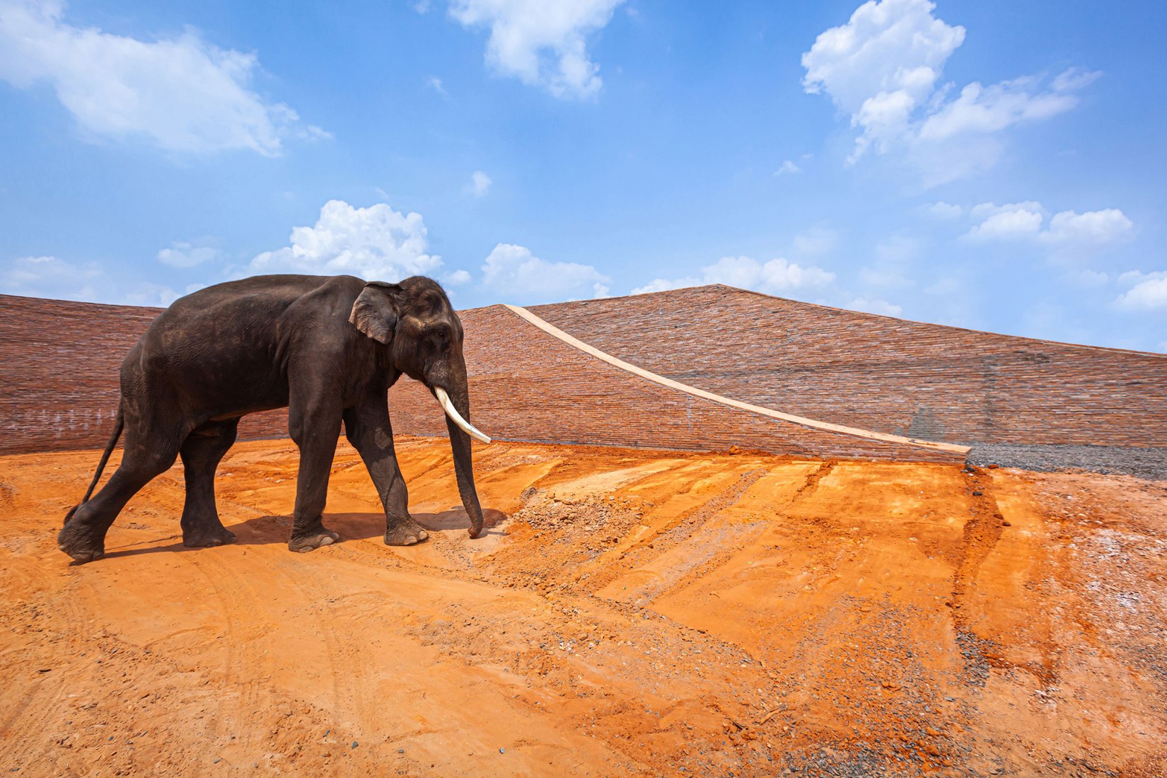 Museo del elefante, parte del proyecto Elephant World por Bangkok Project Studio. Fotografía por Spaceshift Studio