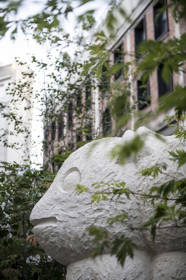 Beaupassage's art. Les Mangoustes. Stephan Rinck. Paris’s New Destination Dedicated to Art, Gastronomy and Wellness led by the Emerige Group and Founder Laurent Dumas. Photograph by Anne Emmanuelle Thion
