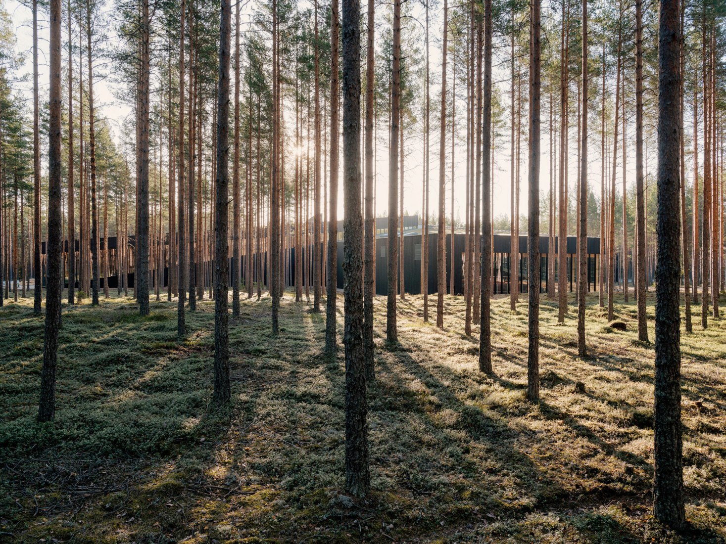 The Plus by BIG. Photograph by Einar Aslaksen