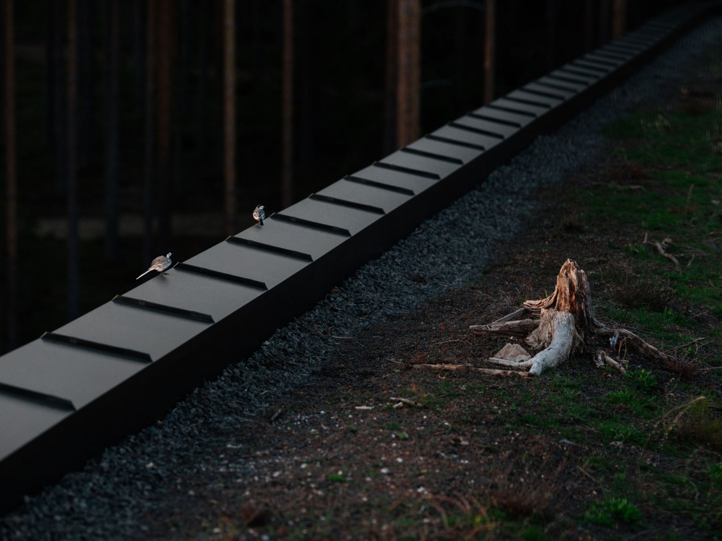 The Plus by BIG. Photograph by Einar Aslaksen
