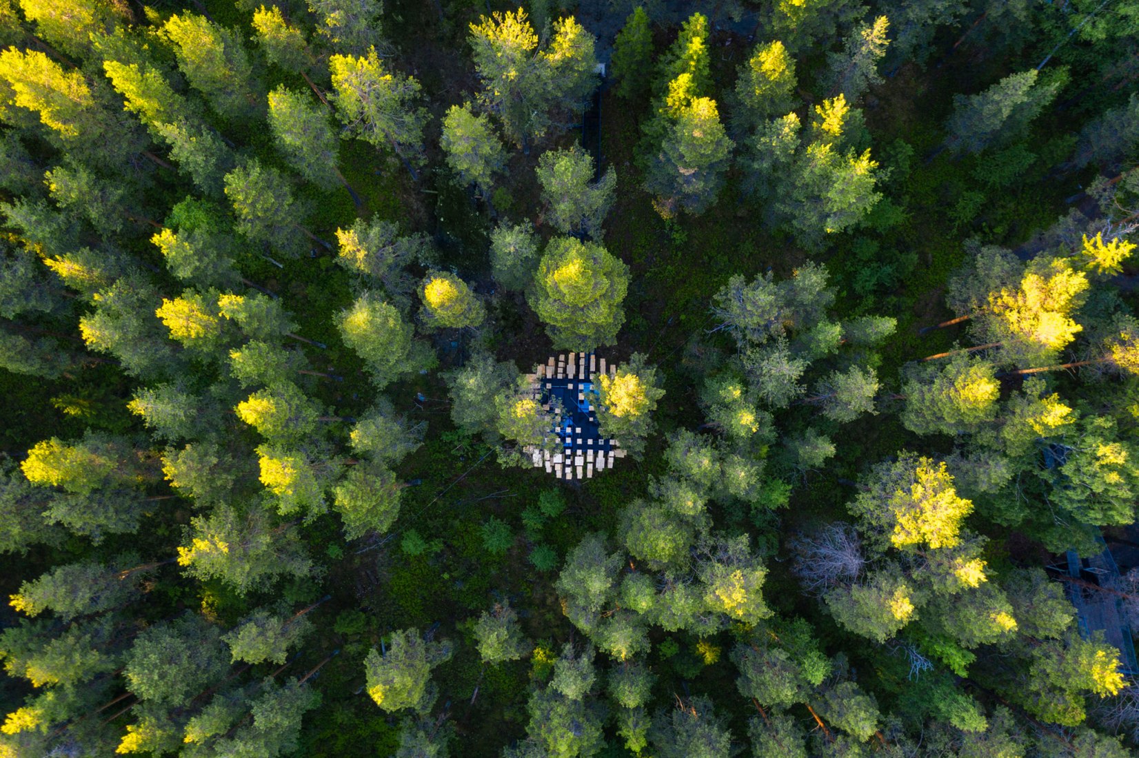 Biosfera por BIG. Fotografía por Mats Engfors.