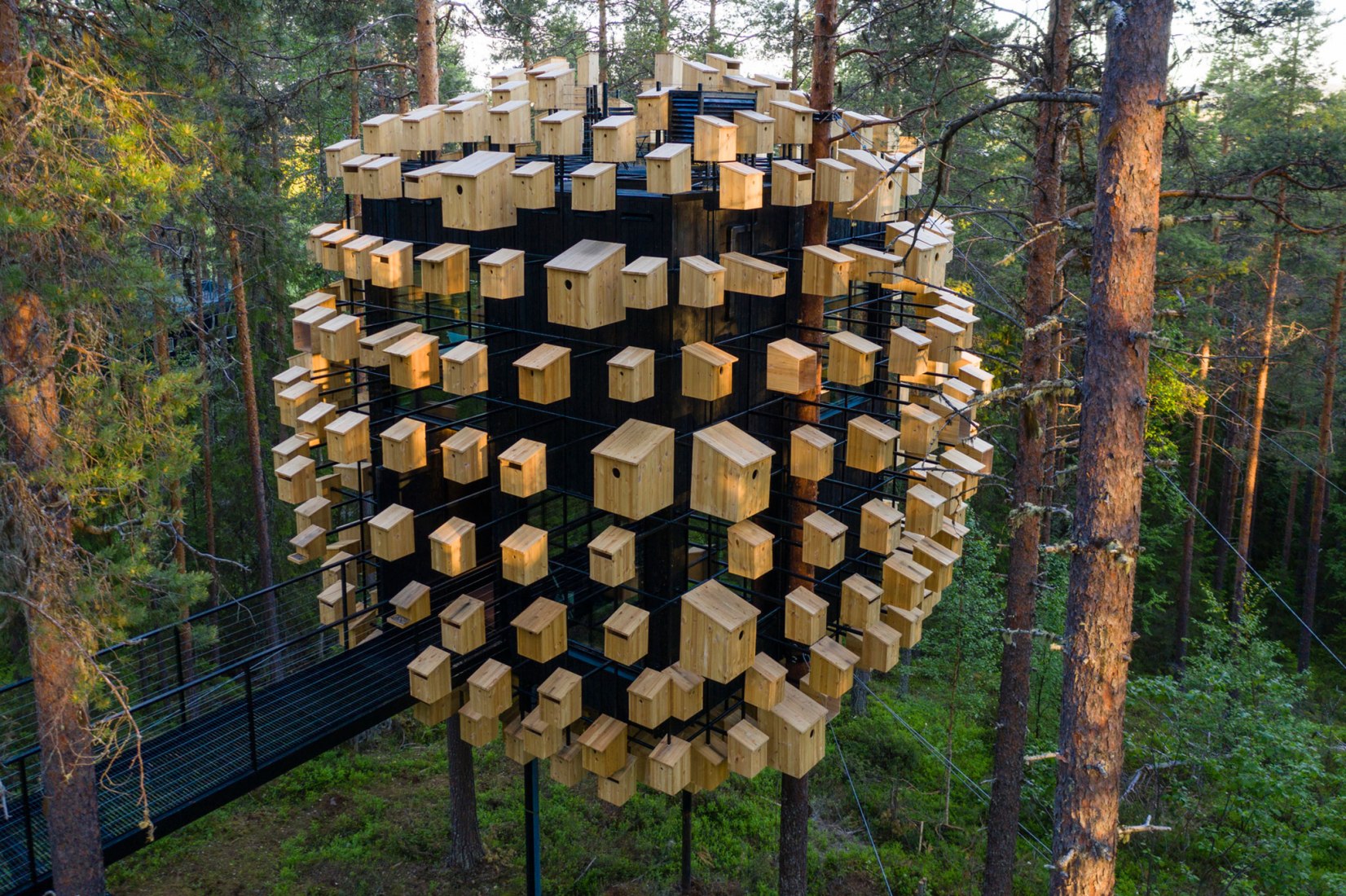 Biosfera por BIG. Fotografía por Mats Engfors.