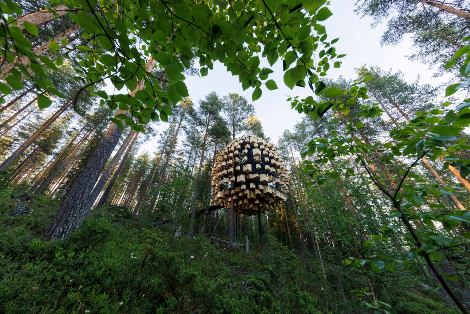 Biosfera por BIG. Fotografía por Mats Engfors.