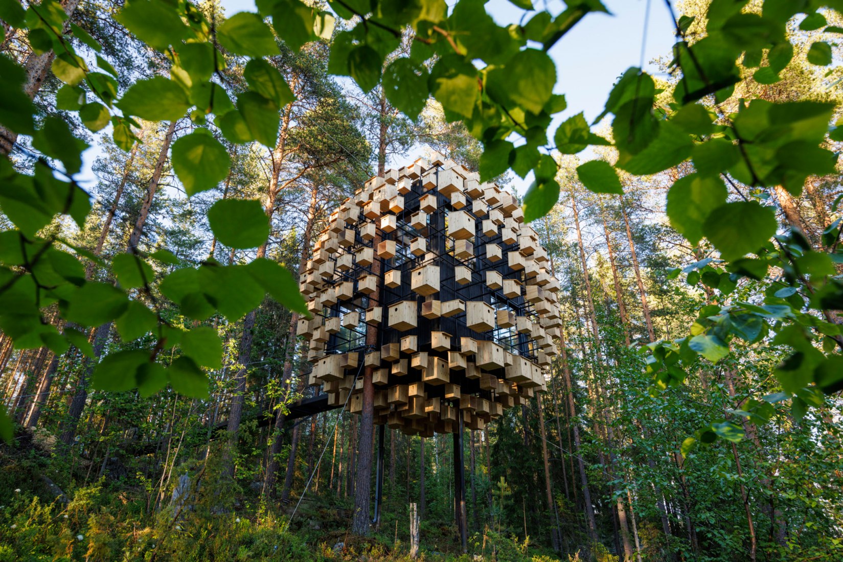 Biosfera por BIG. Fotografía por Mats Engfors.