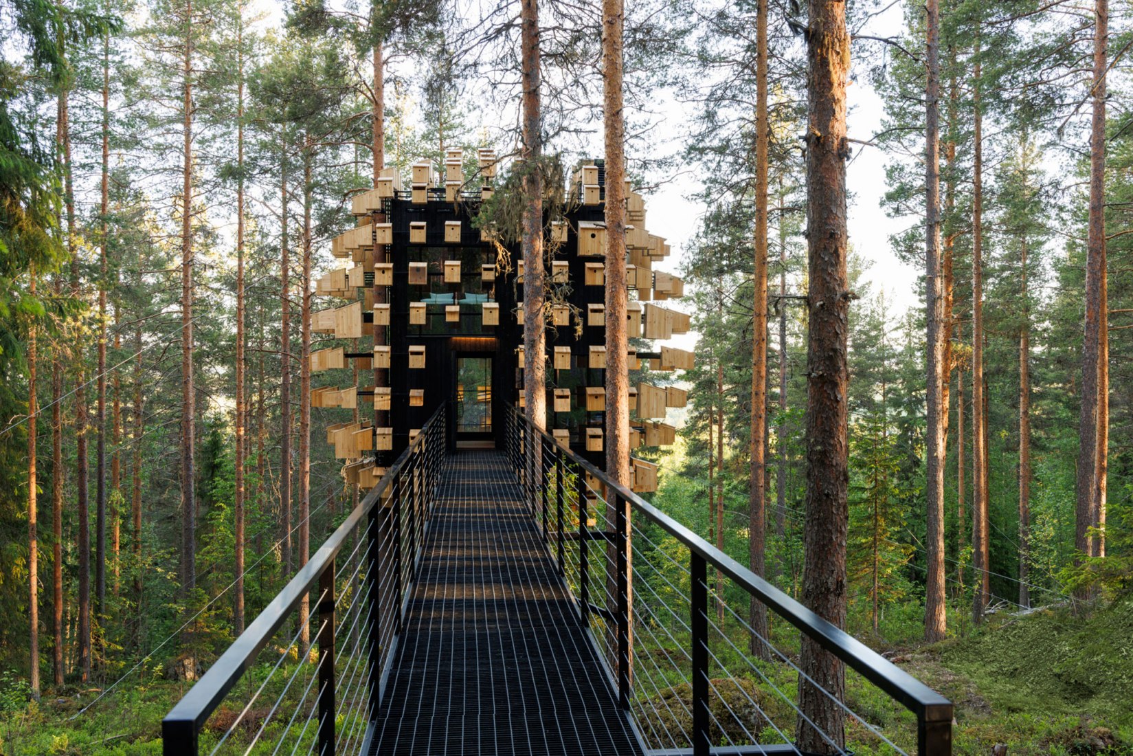 Biosfera por BIG. Fotografía por Mats Engfors.