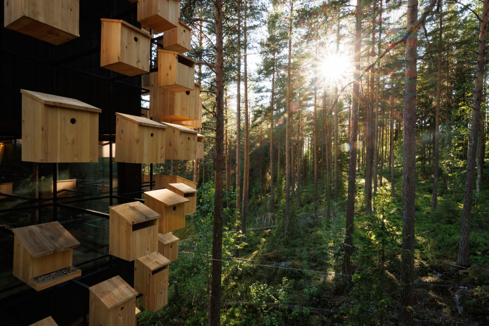 Biosfera por BIG. Fotografía por Mats Engfors.